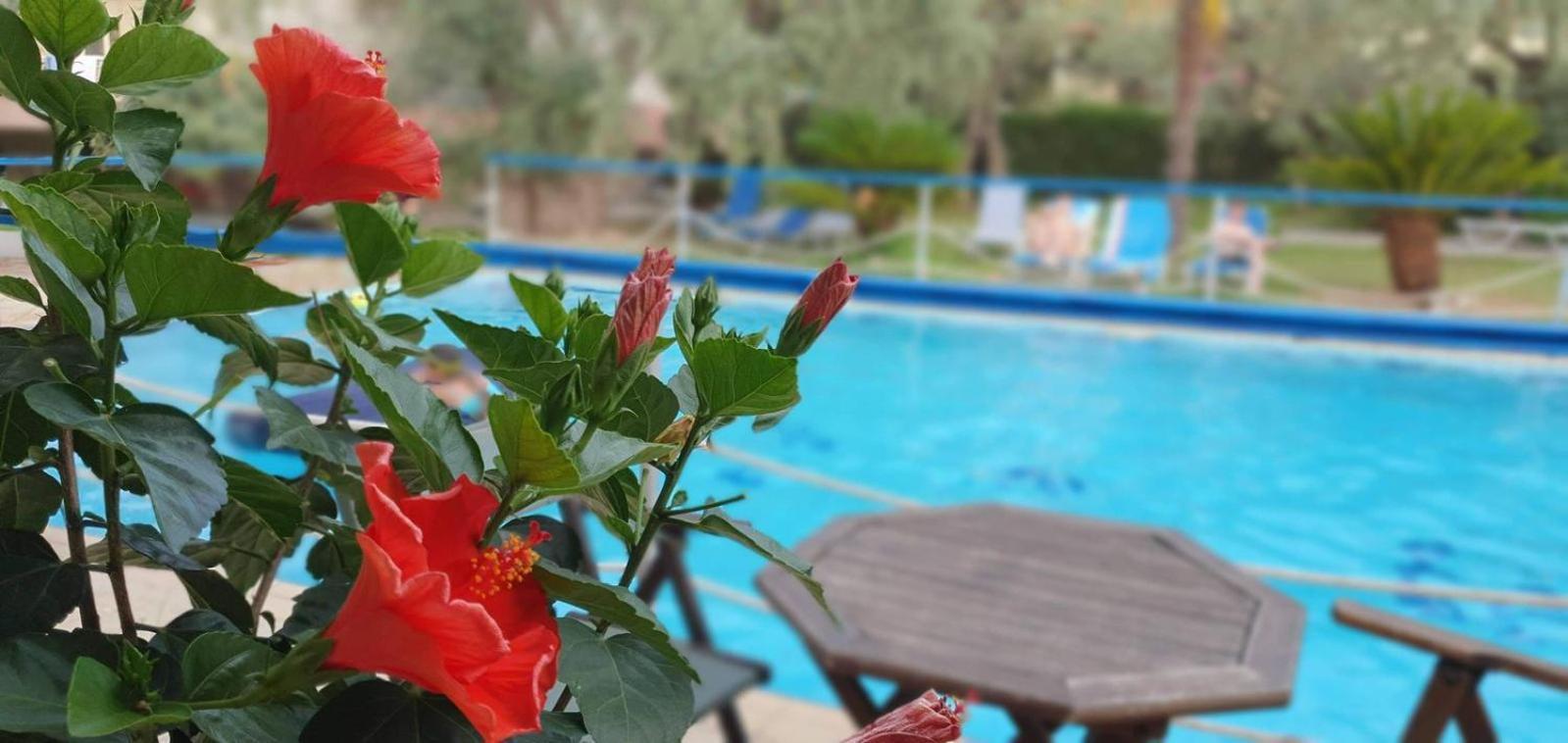 Tsigoura Verde Resort Mikros Prinos 外观 照片